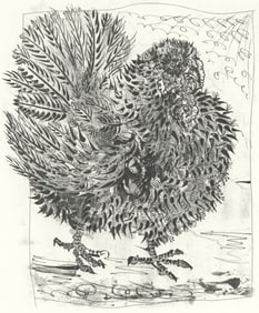 Pablo Picasso, Le Dindon (The Turkey) (Orozco p.82), Histoire naturelle, Limited Edition Lithograph