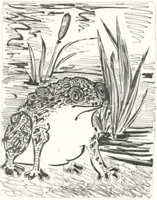 Pablo Picasso, Le Crapaud (The Toad) (Orozco p.82), Histoire naturelle, Limited Edition Lithograph