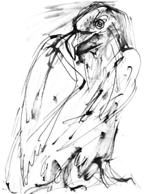 Pablo Picasso, Un aigle (Cramer 84; Johnson/Stein 77), 40 dessins de Picasso en marge du Buffon,