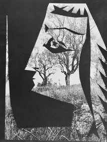 Pablo Picasso, Andre Villers, Jacqueline aux arbres (Cramer 115), Diurnes, Decoupages et