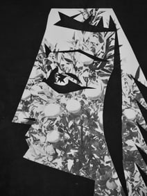 Pablo Picasso, Andre Villers, Jacqueline aux fruits (Cramer 115), Diurnes, Decoupages et