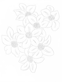 Henri Matisse, Les Fleurs, Poesies de Stephane Mallarme, Limited Edition Lithograph