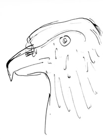 Pablo Picasso, Tete d'aigle (Cramer 84; Johnson/Stein 77), 40 dessins de Picasso en marge du Buffon,