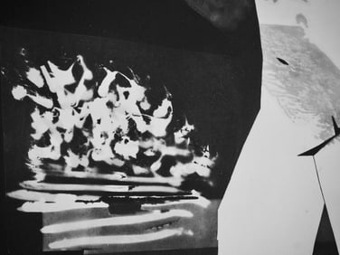 Pablo Picasso, Andre Villers, L'homme a l'oiseau (Cramer 115), Diurnes, Decoupages et Photographies,