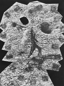 Pablo Picasso, Andre Villers, Le plus profond silence (Cramer 115), Diurnes, Decoupages et