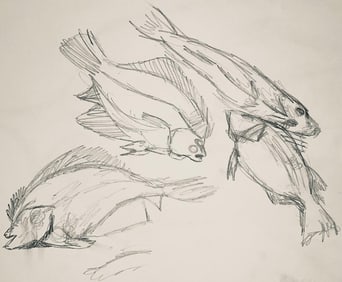 Ian Hornak, Renaissance Fish Study, 1963, Original Drawing