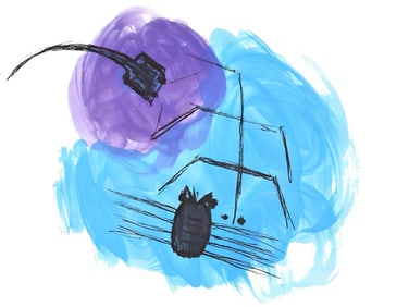 Vassilakis Takis, Composition, Hommage a Aime et Marguerite Maeght, Derriere le miroir, Limited