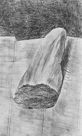 Max Ernst, Composition (Spies/Leppien 222), Histoire Naturelle, Limited Edition Lithograph