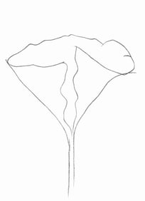 Ellsworth Kelly, Lotus (Axsom Ic), Hommage a Aime et Marguerite Maeght, Derriere le miroir, Limited