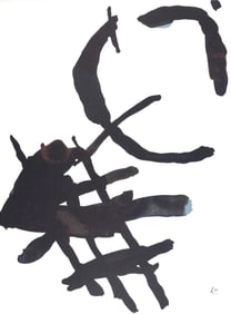 Pierre Tal-Coat, Oiseau et son ombre, L'Hommage a Georges Braque, Derriere le miroir, Limited