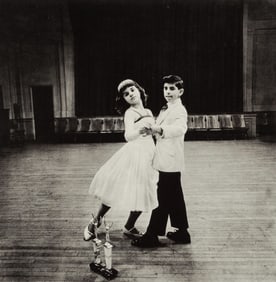 Diane Arbus, Composition, Diane Arbus, Electa Editrice Portfolios, Limited Edition Heliogravure