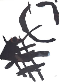 Pierre Tal-Coat, Oiseau et son ombre, L'Hommage a Georges Braque, Derriere le miroir, Limited