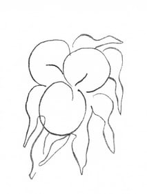 Henri Matisse, Fruits, Prints from the Mourlot Press, Limited Edition Lithograph