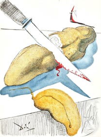 Salvador Dali, Composition (Field 67-4; M/L 174-187), Dali illustre Casanova, Limited Edition