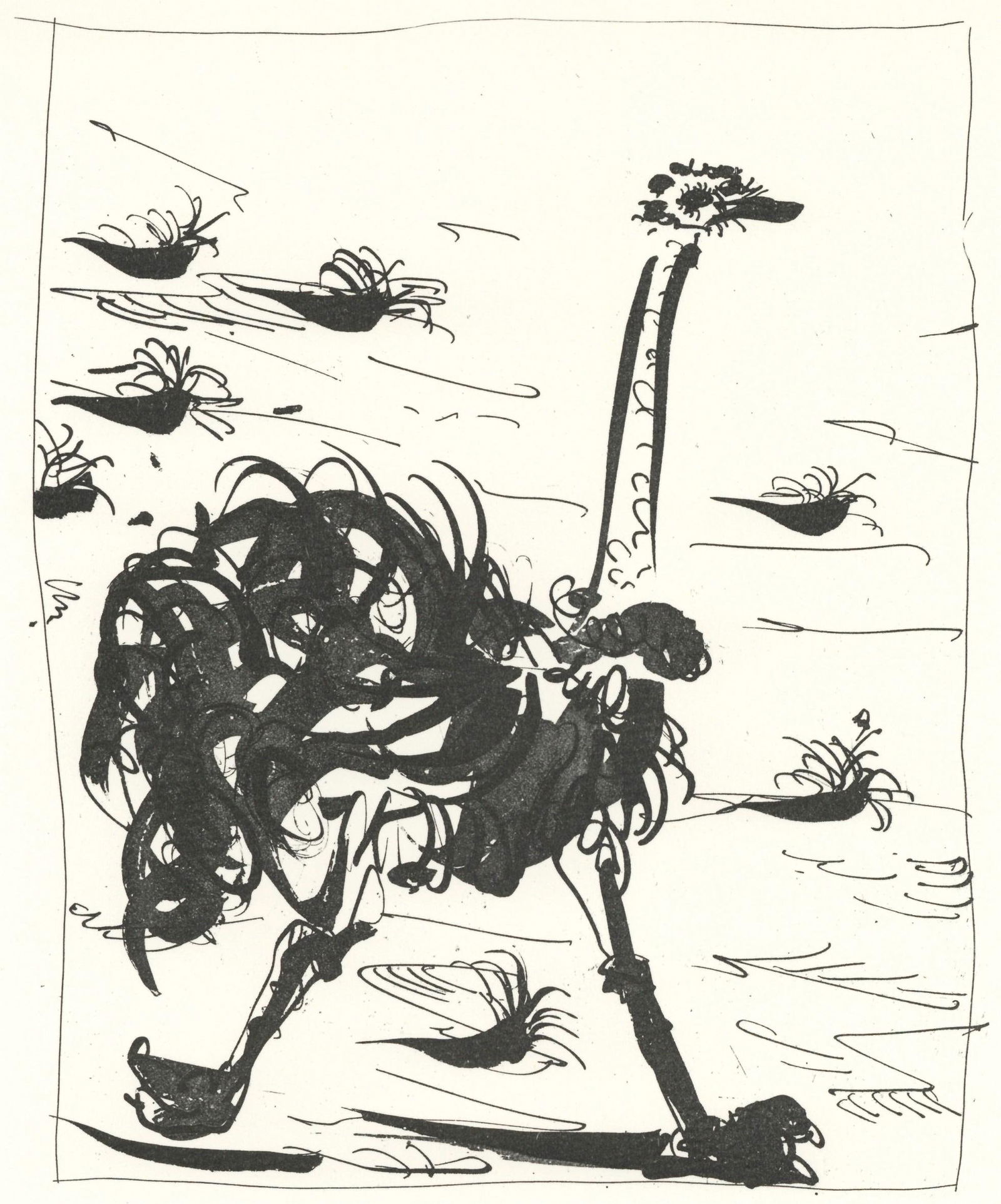 Pablo Picasso, L'Autruche (The Ostrich) (Orozco p.82), Histoire naturelle, Limited Edition (1 of 4)