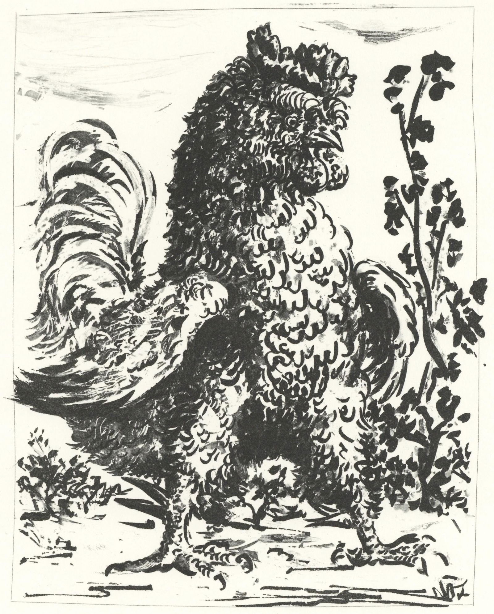 Pablo Picasso, Le Coq (The Rooster) (Orozco p.82), Histoire naturelle, Limited Edition Lithograph (1 of 4)