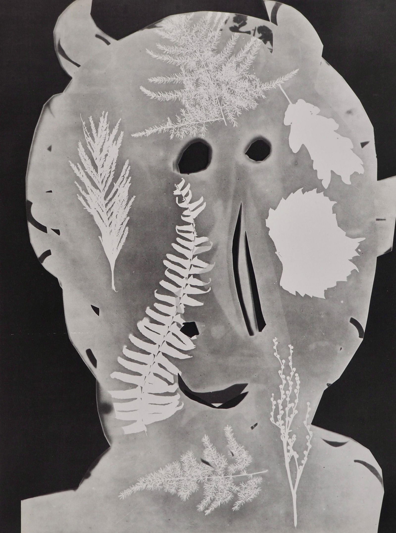 Pablo Picasso, Andre Villers, Torbi (Cramer 115), Diurnes, Decoupages et Photographies, Limited (1 of 4)