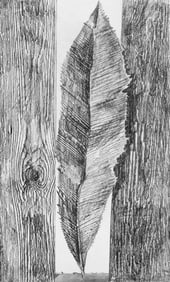 Max Ernst, Composition (Spies/Leppien 222), Histoire Naturelle, Limited Edition Lithograph