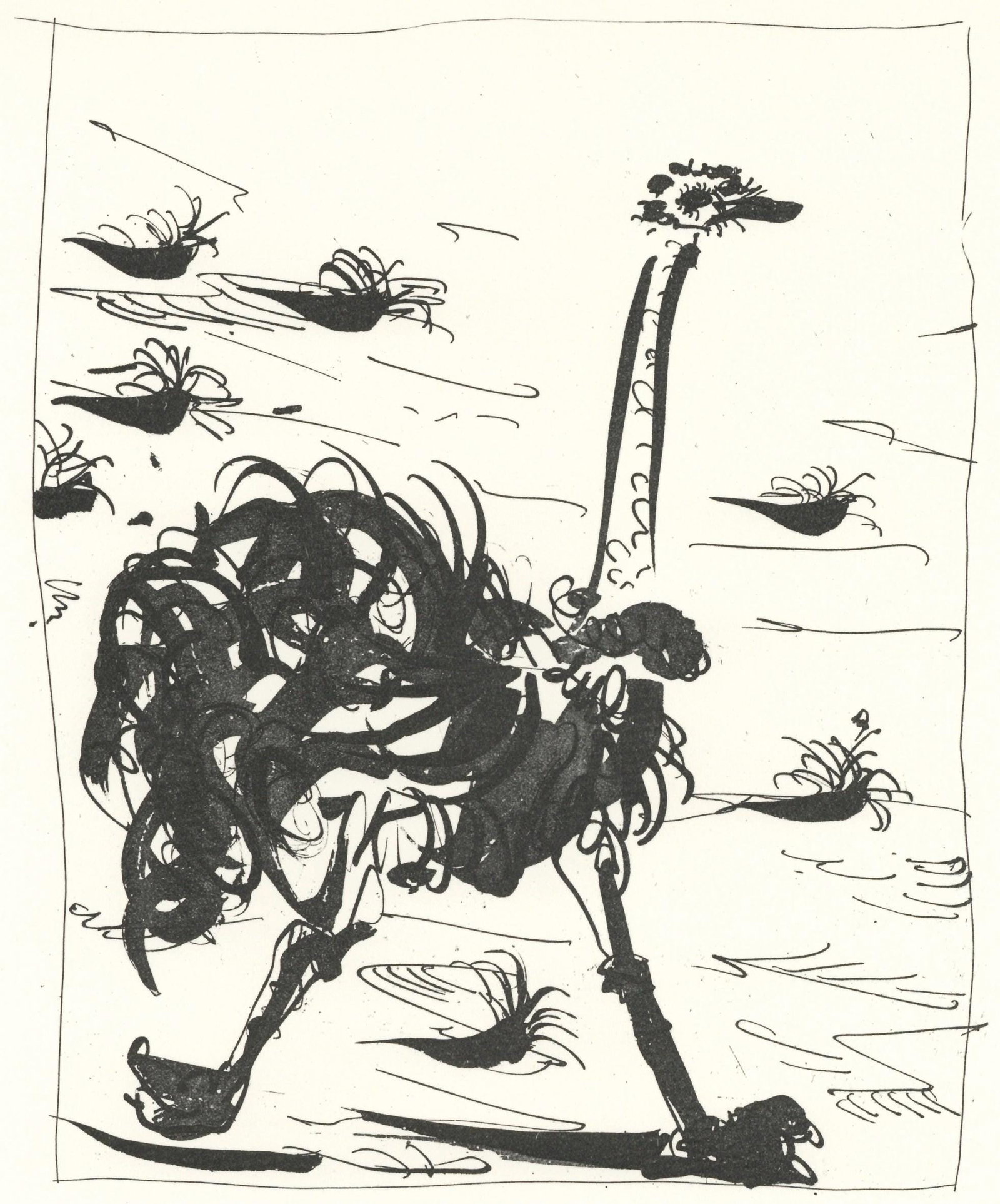 Pablo Picasso, L'Autruche (The Ostrich) (Orozco p.82), Histoire naturelle, Limited Edition (1 of 4)
