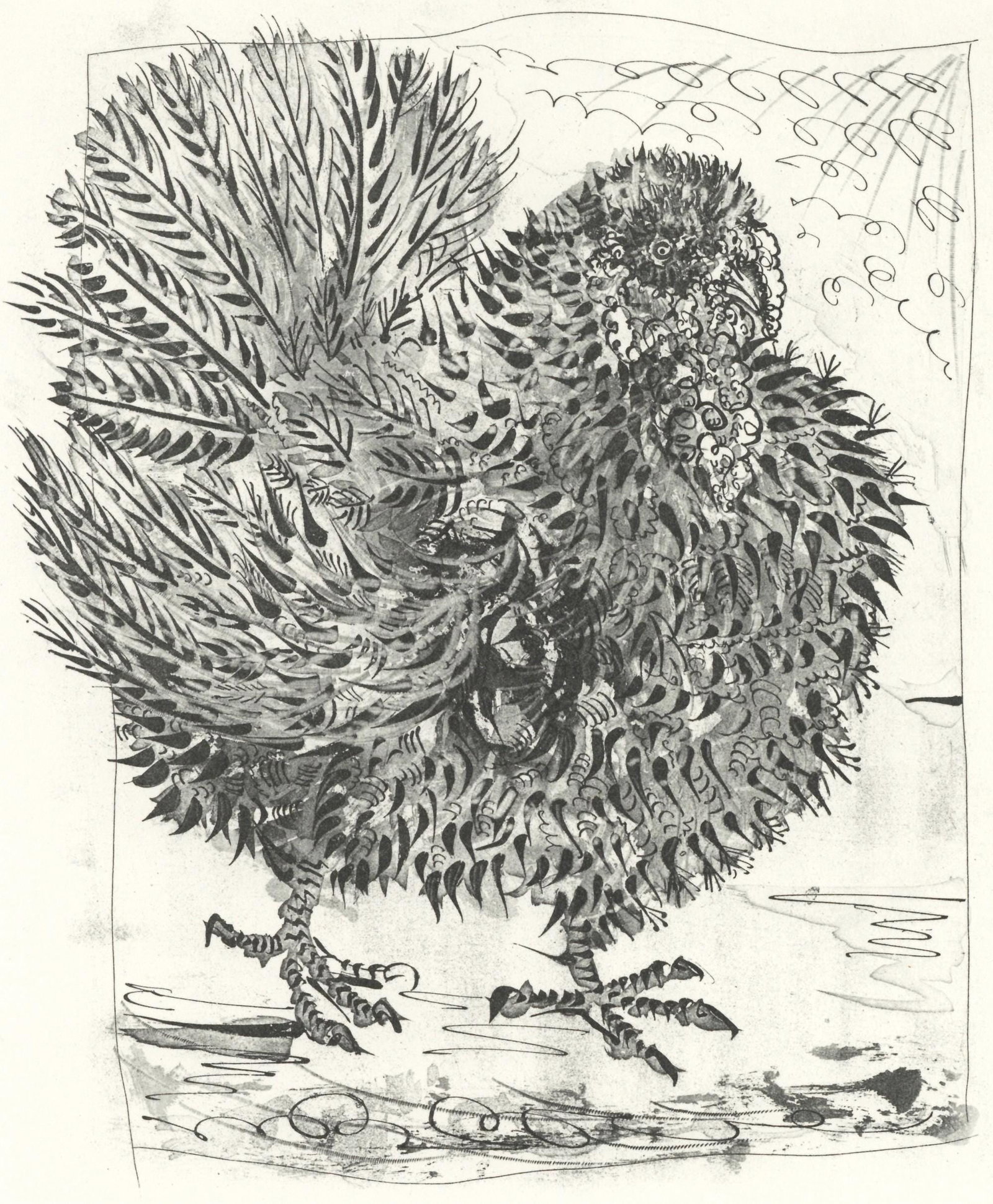 Pablo Picasso, Le Dindon (The Turkey) (Orozco p.82), Histoire naturelle, Limited Edition Lithograph (1 of 4)