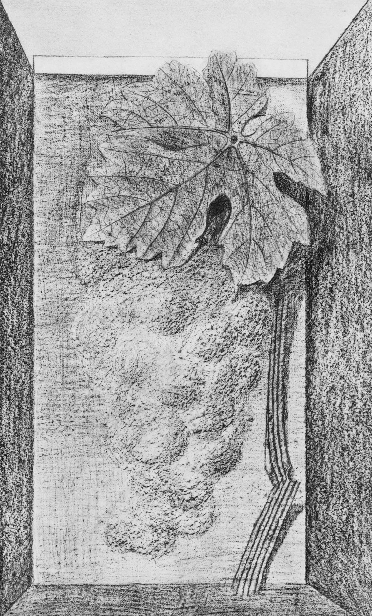 Max Ernst, Composition (Spies/Leppien 222), Histoire Naturelle, Limited Edition Lithograph (1 of 4)