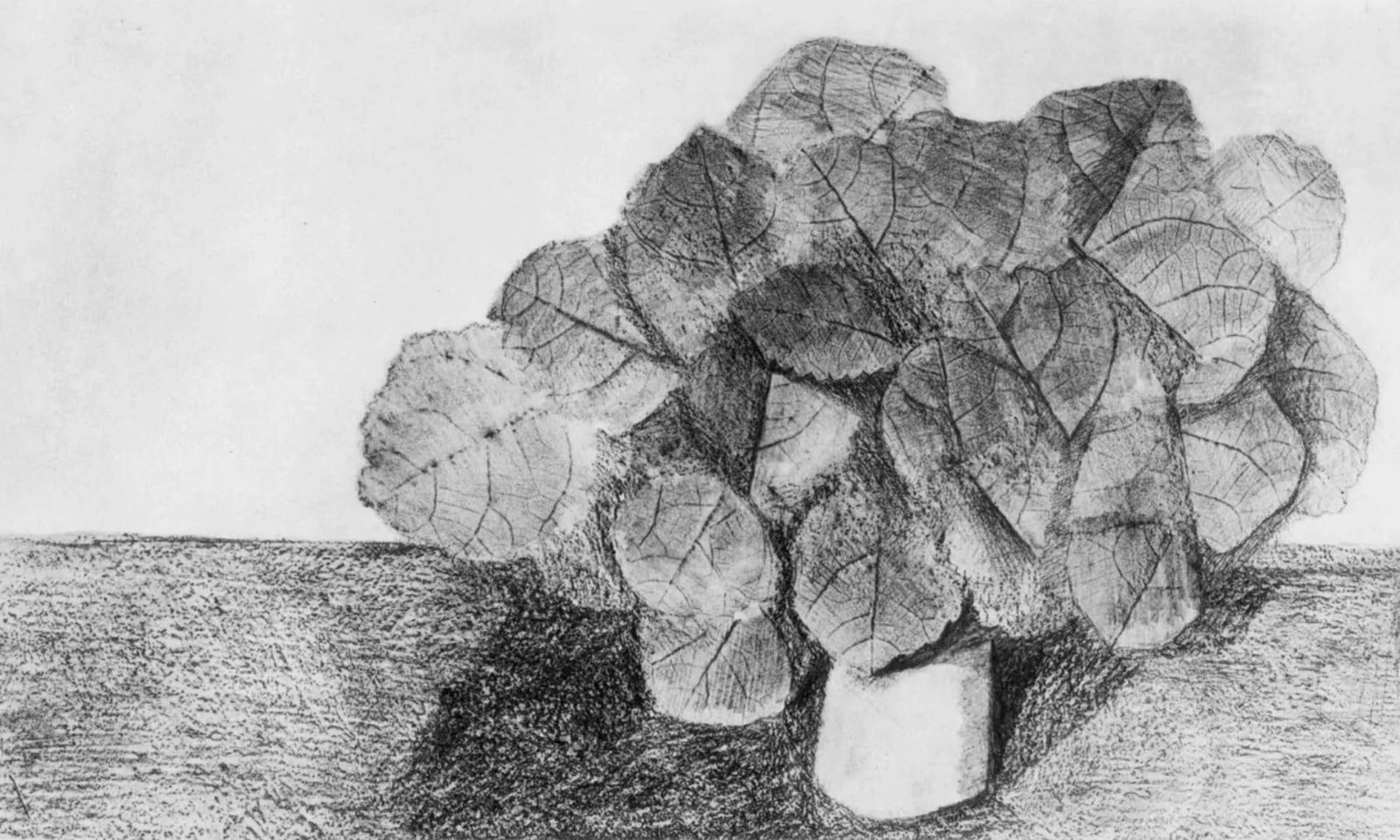 Max Ernst, Composition (Spies/Leppien 222), Histoire Naturelle, Limited Edition Lithograph (1 of 4)