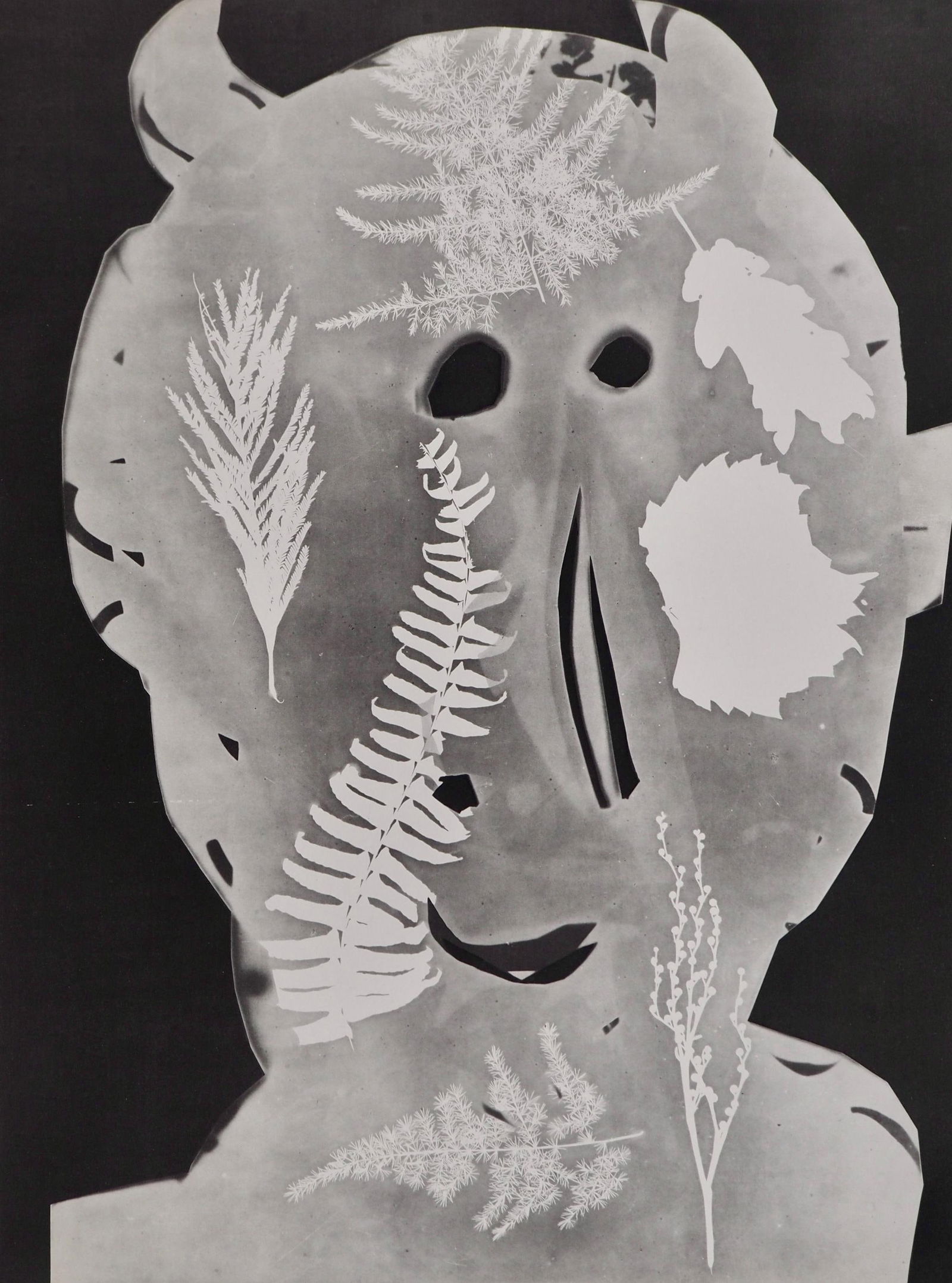 Pablo Picasso, Andre Villers, Torbi (Cramer 115), Diurnes, Decoupages et Photographies, Limited (1 of 4)