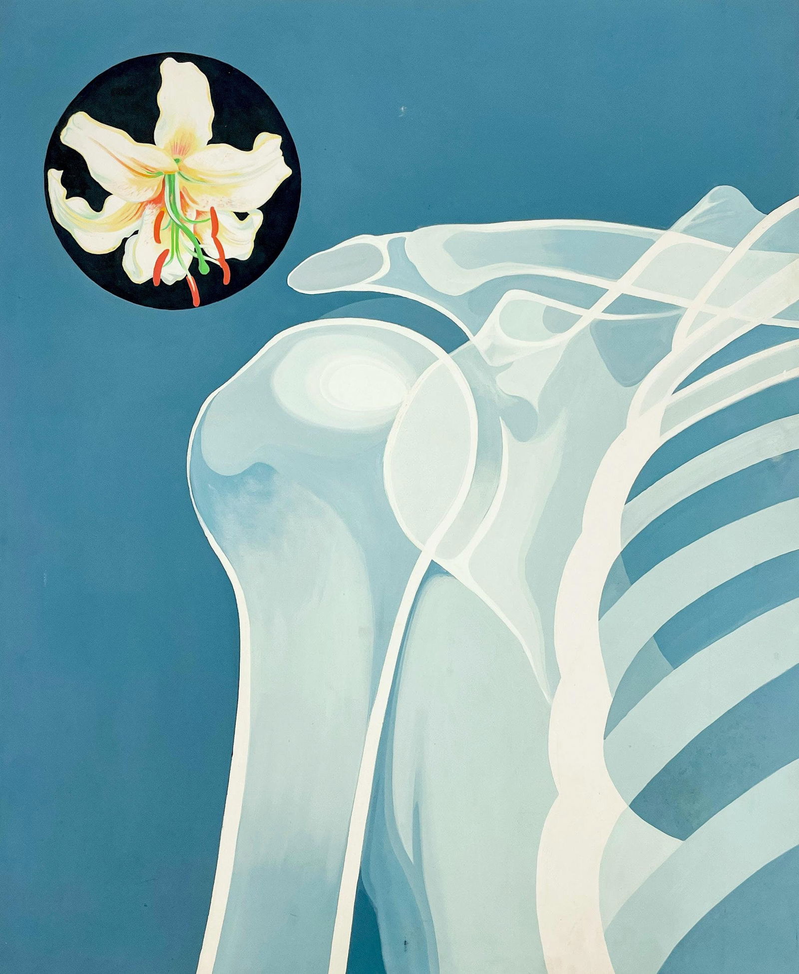 Lowell Nesbitt, X-Ray Series (with Lily), Original Painting (1 of 4)