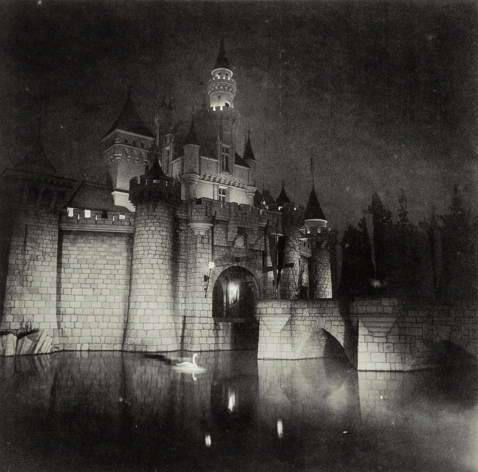 Diane Arbus, Composition, Diane Arbus, Electa Editrice Portfolios, Limited Edition Heliogravure (1 of 4)