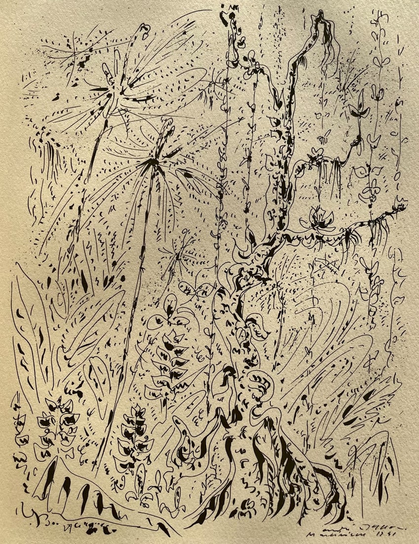 Andre Masson, Foret martiniquaise, Masson Dessins, Limited Edition Lithograph (1 of 4)