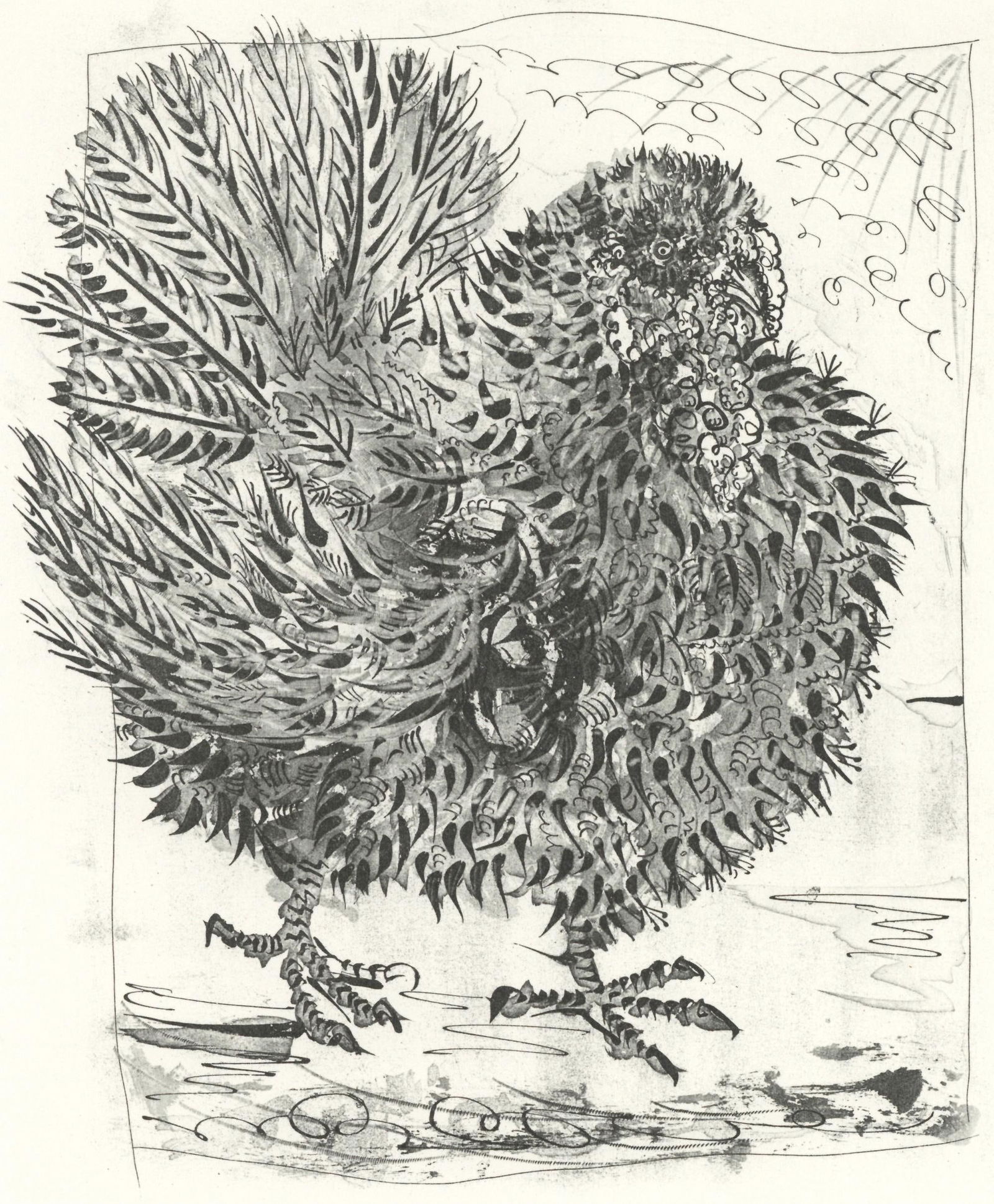 Pablo Picasso, Le Dindon (The Turkey) (Orozco p.82), Histoire naturelle, Limited Edition Lithograph (1 of 4)