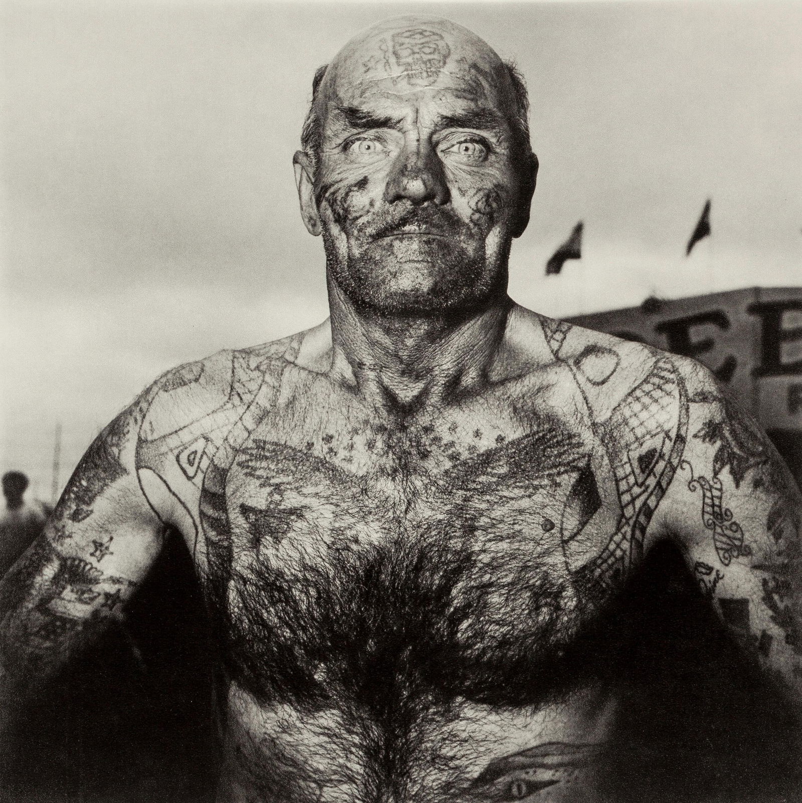 Diane Arbus, Composition, Diane Arbus, Electa Editrice Portfolios, Limited Edition Heliogravure (1 of 4)