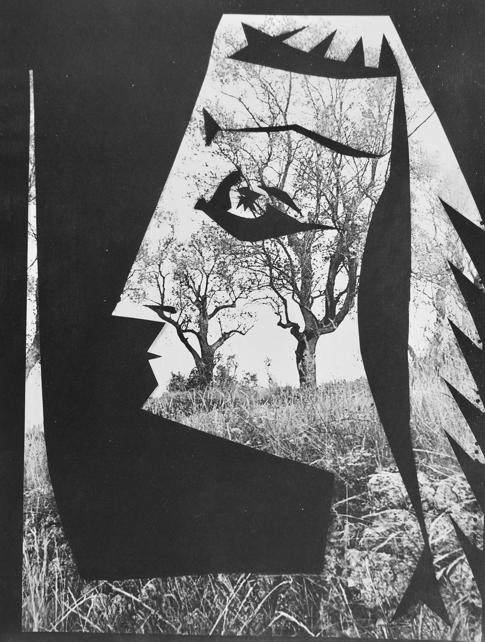 Pablo Picasso, Andre Villers, Jacqueline aux arbres (Cramer 115), Diurnes, Decoupages et: Lithograph, stencil on velin d'Arches paper. Paper Size: 15.75 x 11.75 inches. Inscription: Unsigned and unnumbered, as issued. Catalogue raisonne reference: Goeppert, Sebastian, et al. Pablo Picasso: