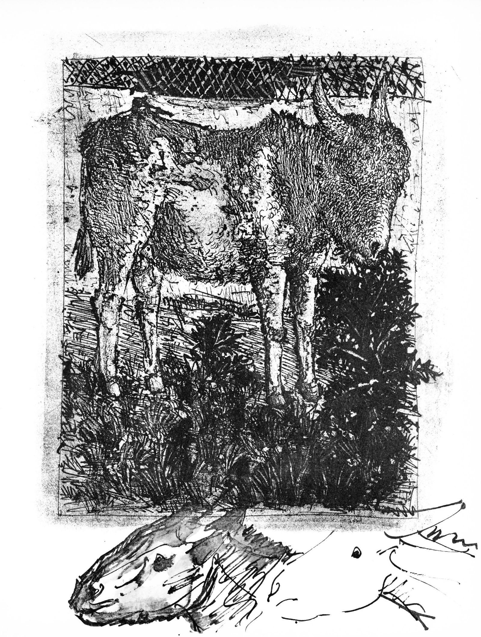 Pablo Picasso, Anes, sur une planche gravee (Cramer 84; Johnson/S. 77), 40 dessins de Picasso en: Collotype on velin du Marais paper. Paper size: 14.5 x 11.125 inches. Inscription: Unsigned and unnumbered, as issued. Catalogue raisonne reference: Goeppert, Sebastian, et al. Pablo Picasso, the Illu