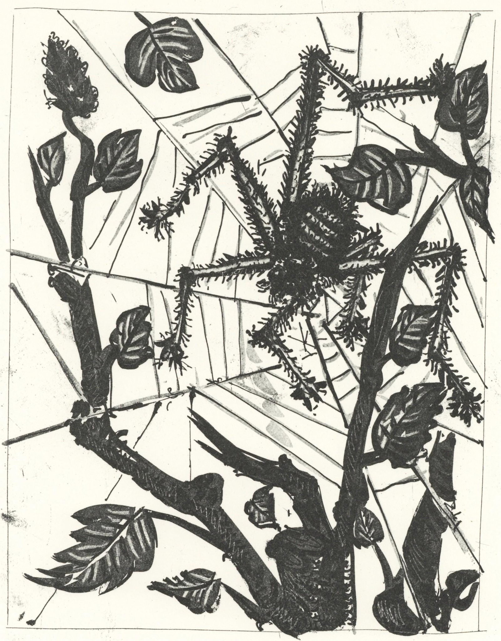 Pablo Picasso, L'Araignee (The Spider) (Orozco p.82), Histoire naturelle, Limited Edition Lithograph (1 of 4)