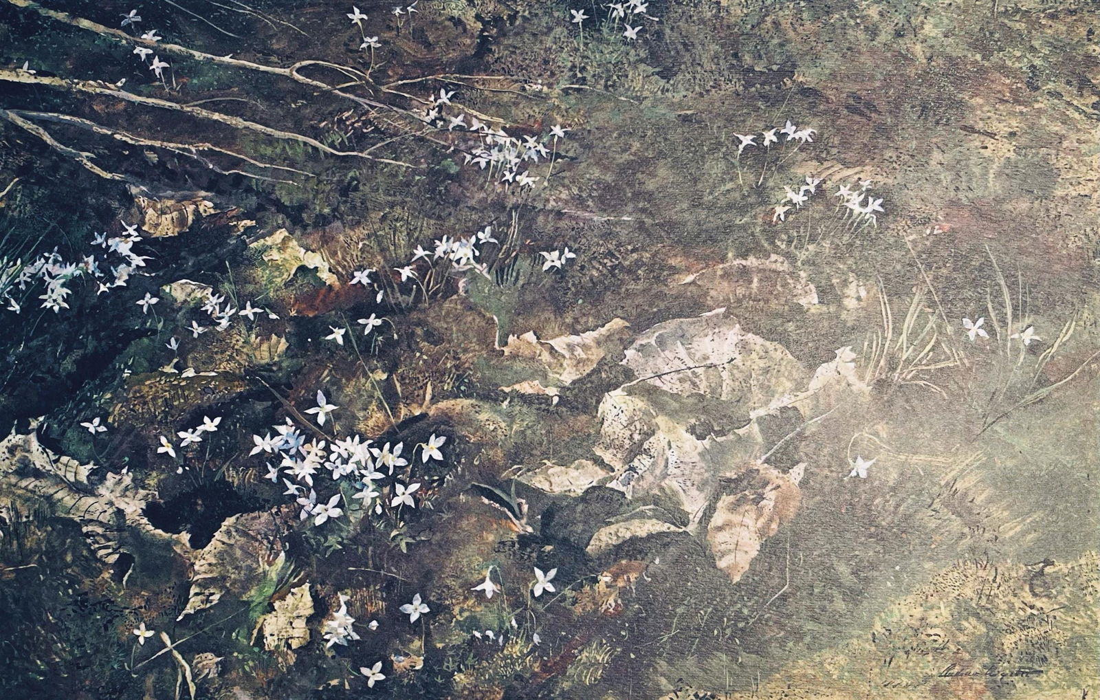 Andrew Wyeth, Quaker Ladies, The Four Seasons, Limited Edition Lithograph: Lithograph in colors on velin paper. Paper Size: 13 x 17 inches. Inscription: Signed in the plate and unnumbered, as issued. Condition: Very good/excellent, consistent with age. Notes: From the folio,