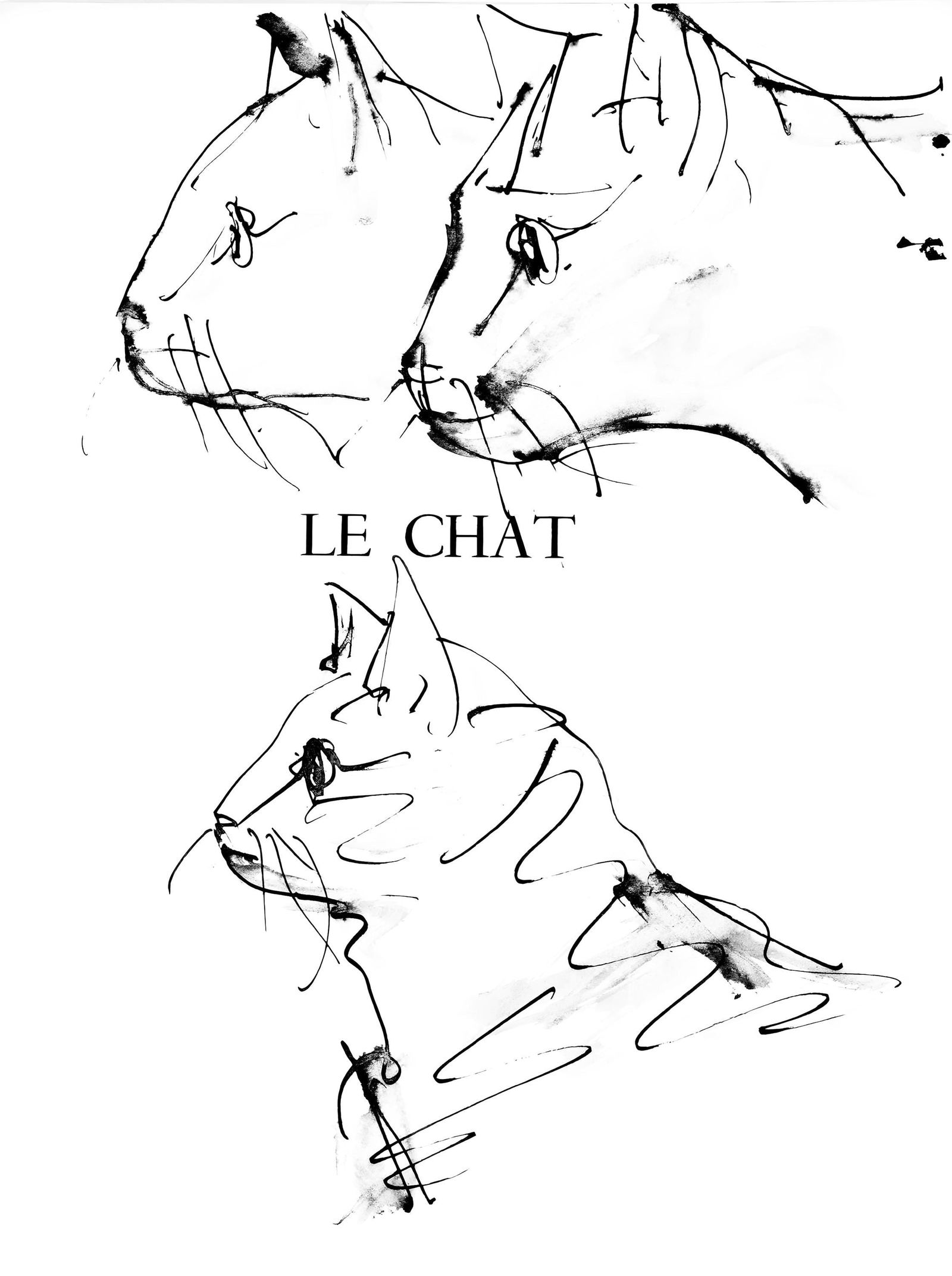 Pablo Picasso, Trois tetes de chats (Cramer 84; Johnson/Stein 77), 40 dessins de Picasso en marge du: Collotype on velin du Marais paper. Paper size: 14.5 x 11.125 inches. Inscription: Unsigned and unnumbered, as issued. Catalogue raisonne reference: Goeppert, Sebastian, et al. Pablo Picasso, the Illu