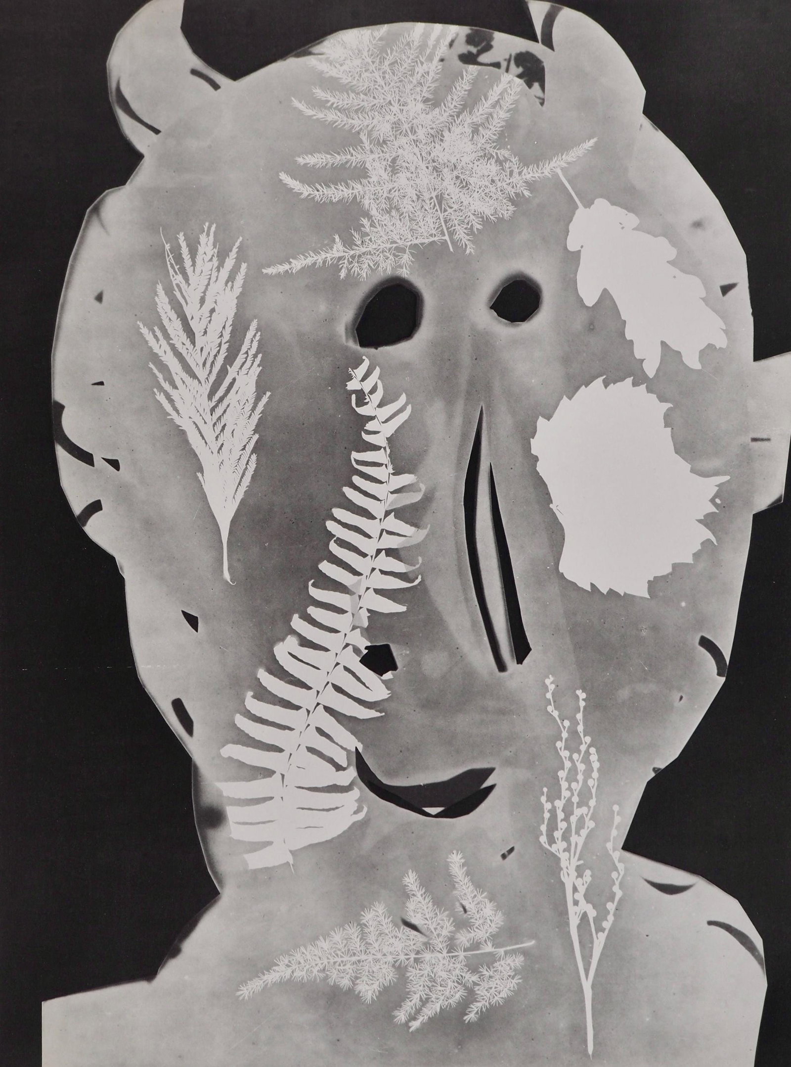 Pablo Picasso, Andre Villers, Torbi (Cramer 115), Diurnes, Decoupages et Photographies, Limited (1 of 4)