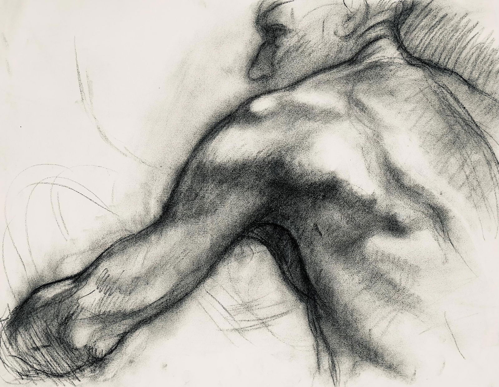 Ian Hornak, Renaissance Male Nude Figure Study, 1963, Original Drawing: Charcoal on velin paper, circa 1963. Paper Size: 18 x 23 inches. Good condition, consistent with age. Inscription: Unsigned, Estate stamped, verso. Provenance: Estate of Ian Hornak, East Hampton. Note