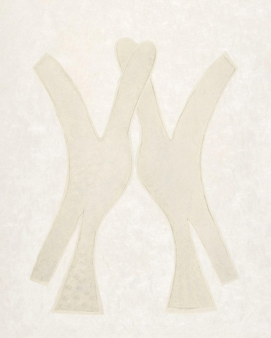 Georges Braque, Composition (Vallier 143), La Liberte des Mers, Limited Edition Lithograph (1 of 4)