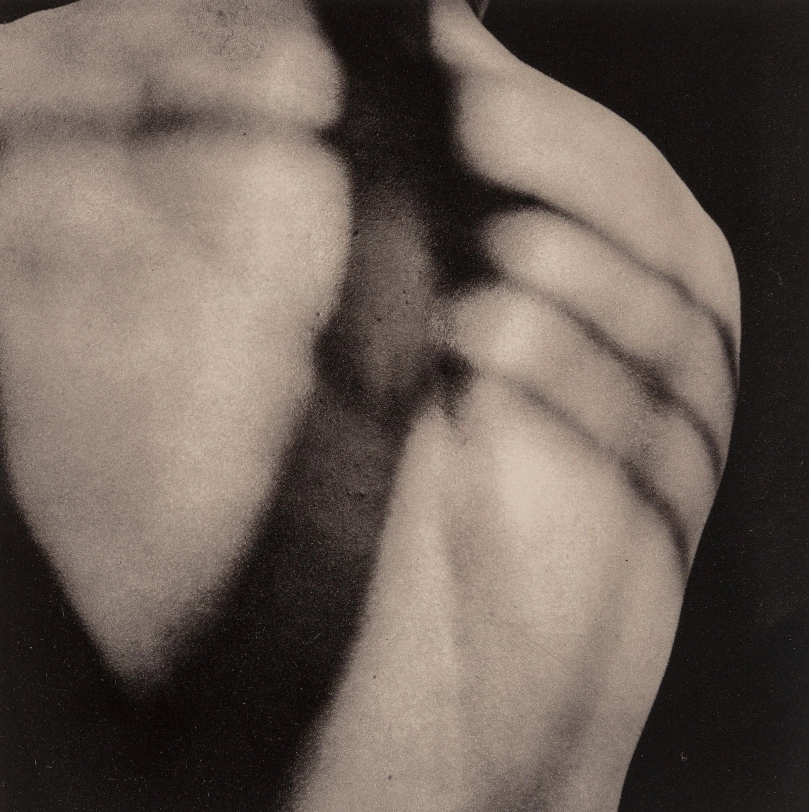 Robert Mapplethorpe, Vibert's Back, A Season in Hell, Limited Edition Photogravure (1 of 4)