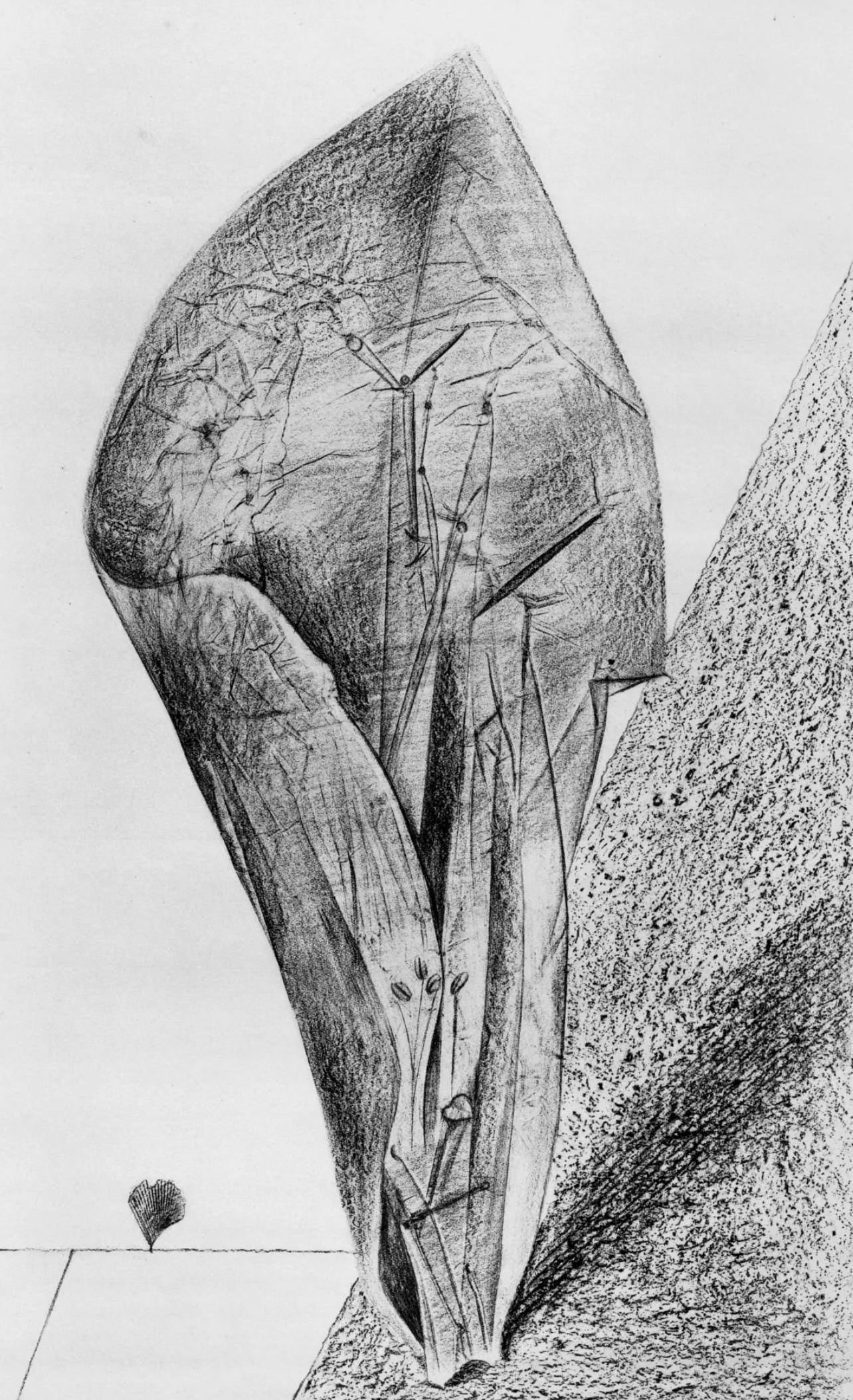 Max Ernst, Composition (Spies/Leppien 222), Histoire Naturelle, Limited Edition Lithograph: Collotype from frottage on velin paper. Paper size: 19.625 x 12.75 inches. Excellent condition. Unsigned and unnumbered, as issued. Notes: From the album, Max Ernst, Histoire Naturelle, 1972. Publishe