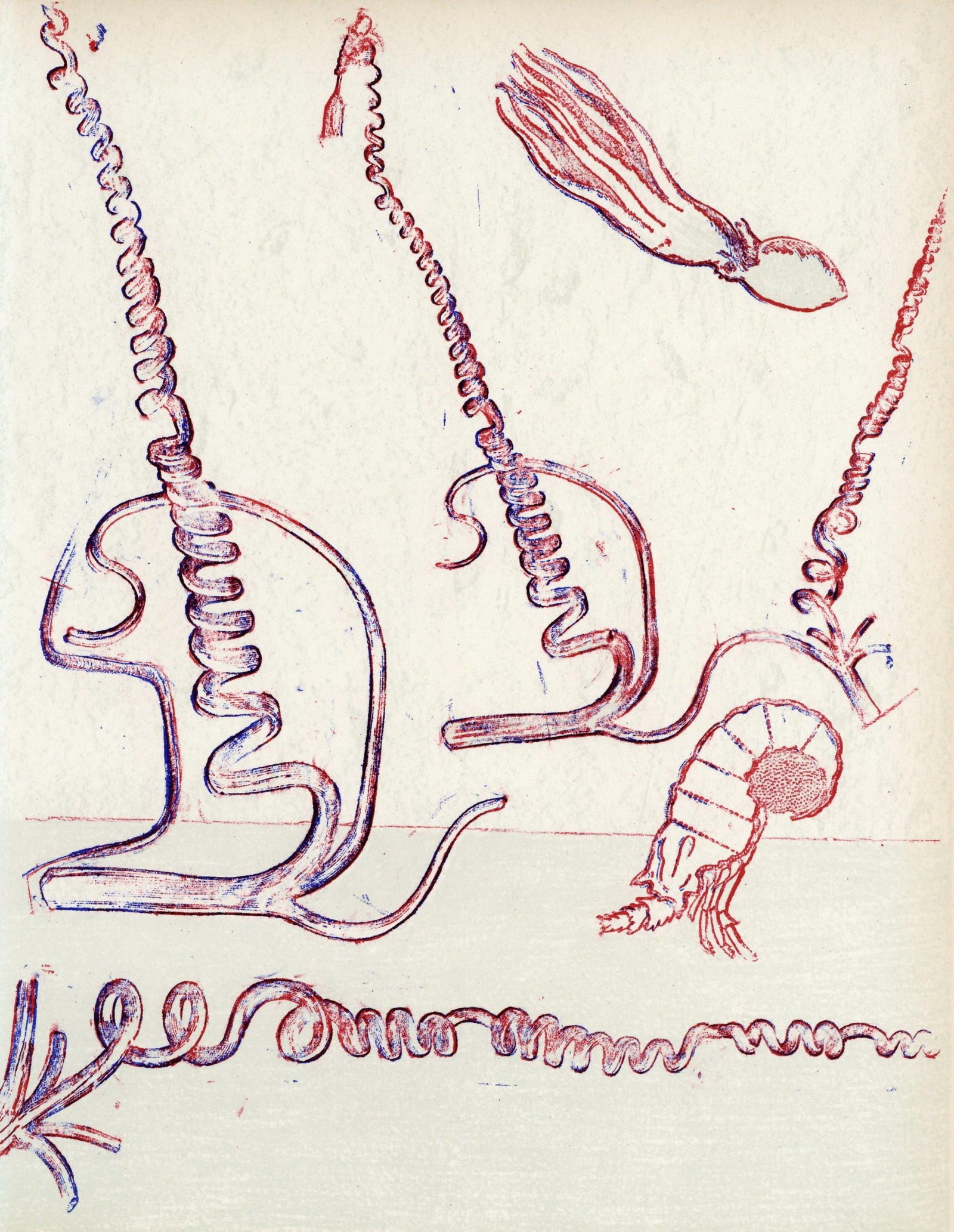 Max Ernst, Composition (Spies/Leppien 252), XXe siecle, Limited Edition Lithograph (1 of 4)