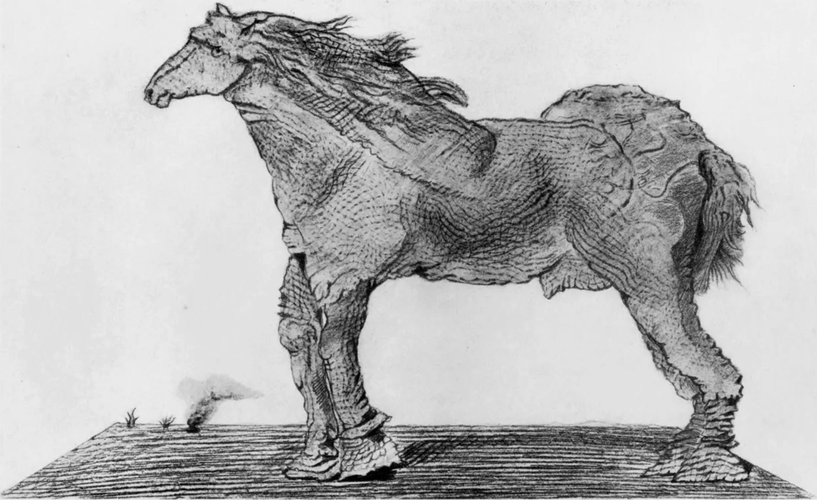 Max Ernst, Composition (Spies/Leppien 222), Histoire Naturelle, Limited Edition Lithograph (1 of 4)