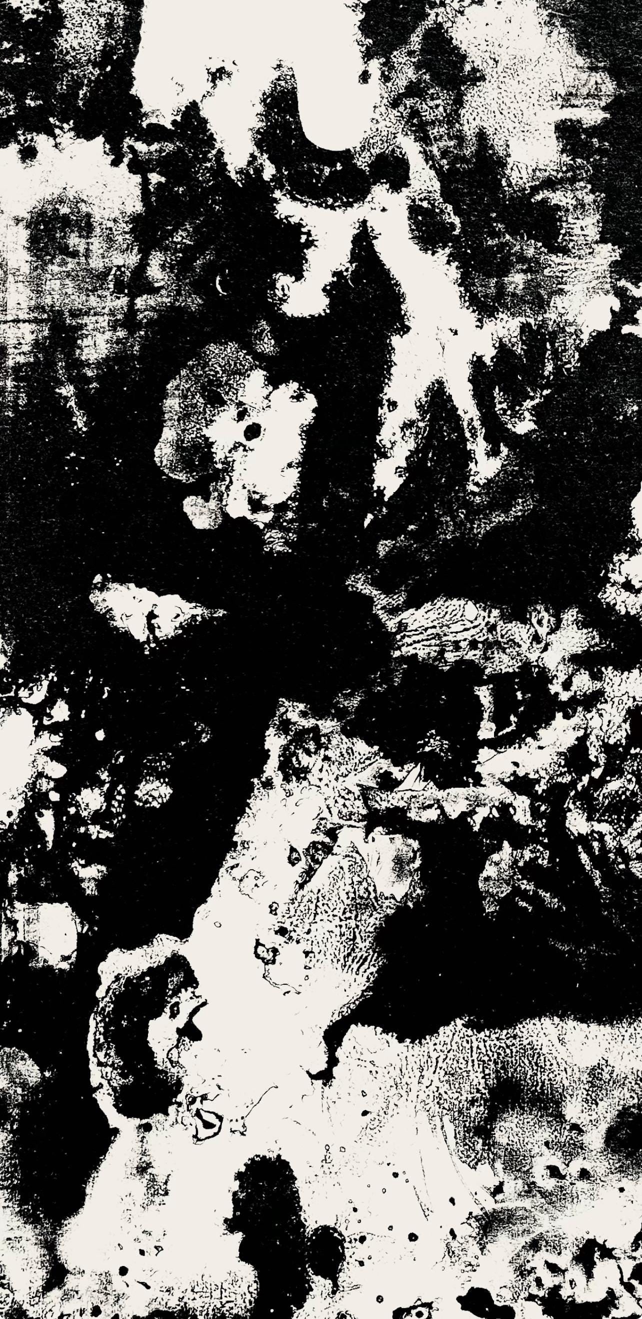 Francois Fiedler, Composition, Derriere le miroir, Limited Edition Lithograph - 2