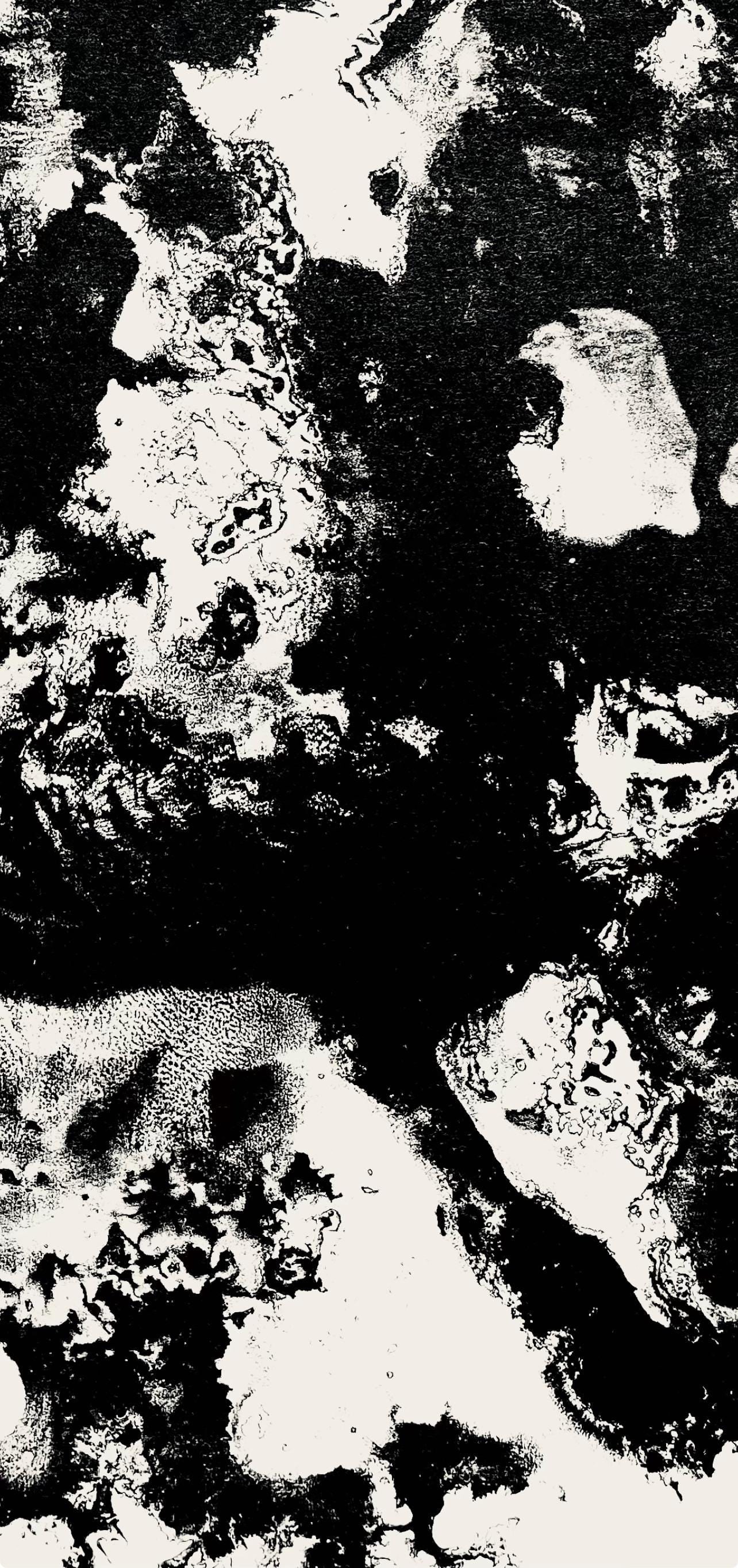 Francois Fiedler, Composition, Derriere le miroir, Limited Edition Lithograph - 4