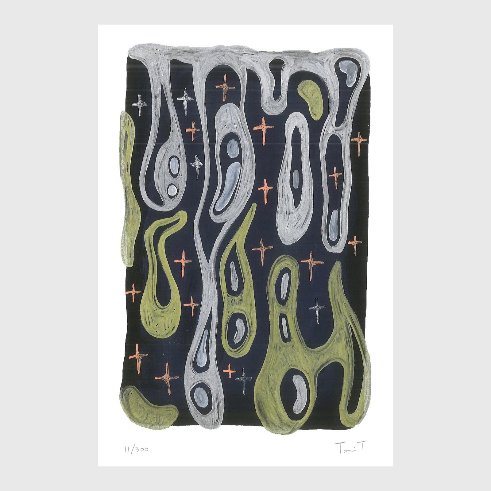 Drops with Stars: Artist: Tanvi Thakur (1996) Title: Drops with Stars, Drops With Dots Series Year: 2025 Medium: Archival Pigment Print on Paper Edition: 300 Size: 8 x 12 inches Inscription: Signed and numbered by the