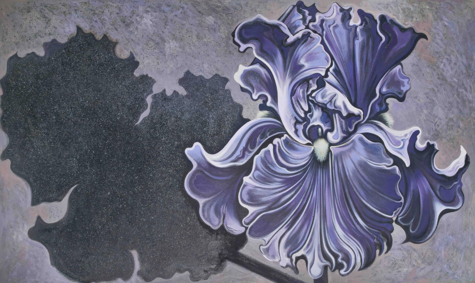 Lowell Nesbitt, Shadow Iris, Original Oil Painting, 1983 (1 of 4)