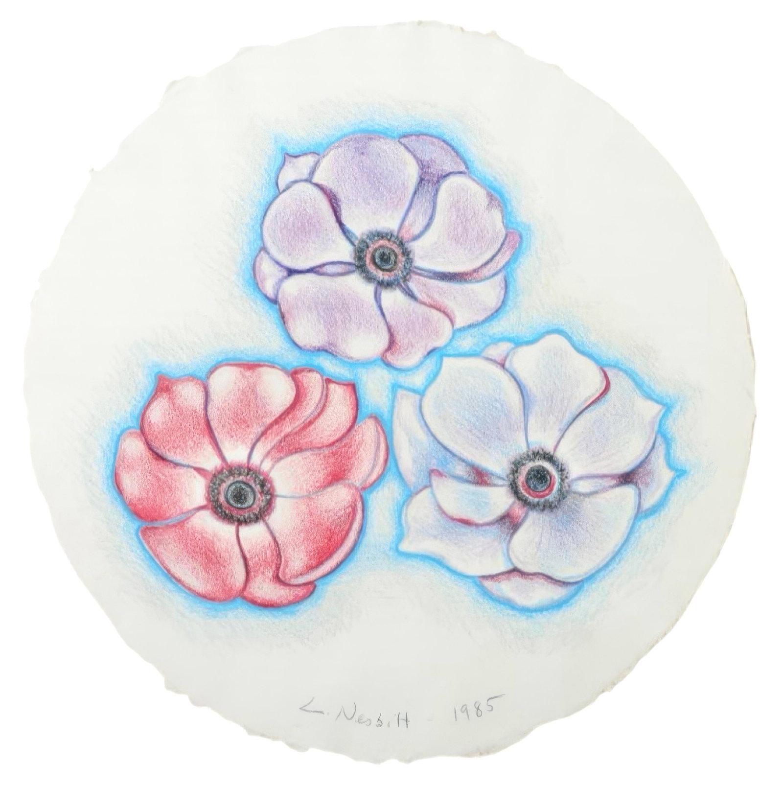 Lowell Nesbitt, Three Single Anemones, Original Pastel Drawing, 1985: This exquisite pastel by Lowell Nesbitt (1933-1993), titled Three Single Anemones, exemplifies the artist's radical expansion of realism into a realm of heightened perception and conceptual intensity.