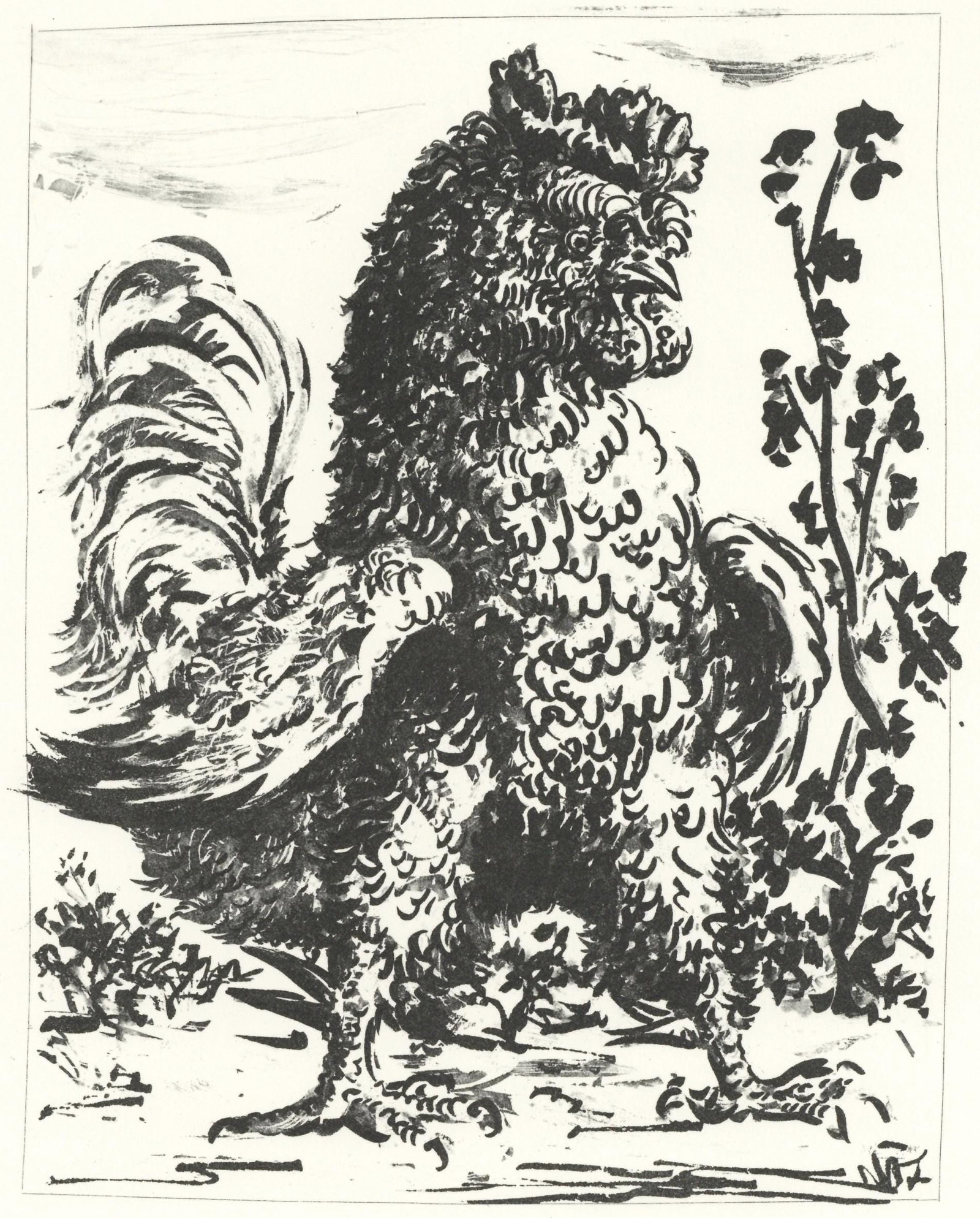 Pablo Picasso, Le Coq (The Rooster) (Orozco p.82), Histoire naturelle, Limited Edition Lithograph (1 of 4)